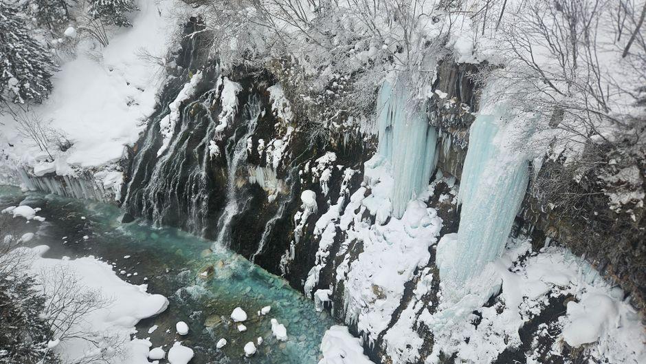 北海道深度游:从雪季粉雪到夏日花海