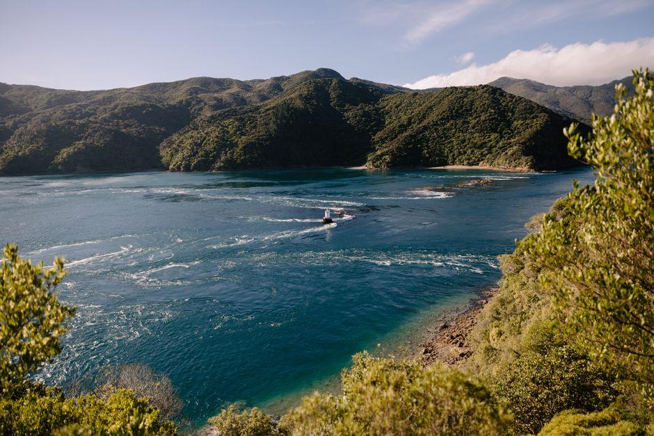 马尔堡峡湾各月天气，夏季旺而冬季静，哪个季节最适合出海