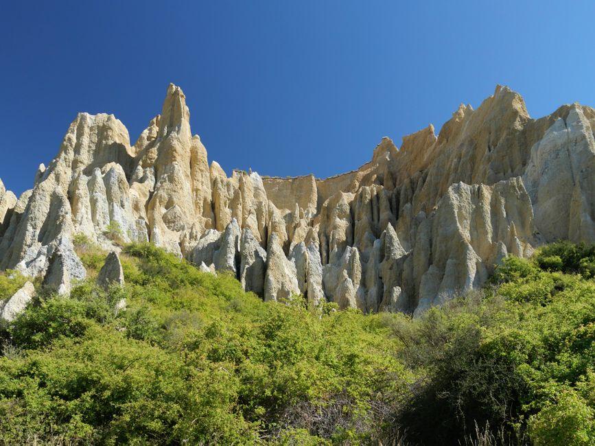 奥玛拉玛带孩子，绵羊剪毛表演适合全年龄，滑翔体验要按年龄取舍