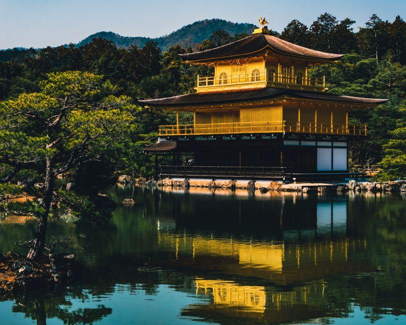 京都四季气候，樱花红叶各有黄金窗口