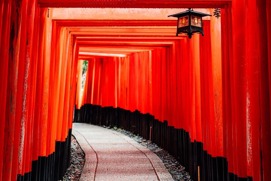 京都深度游:从车站外的玻璃幕墙到千年古刹