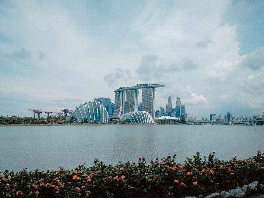 新加坡旅游别只中转,留三五天吃遍小贩中心