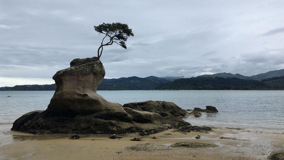 南岛纳尔逊:被低估的度假小城