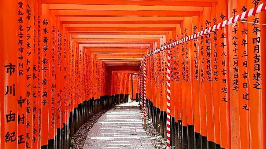 日本本州12日游