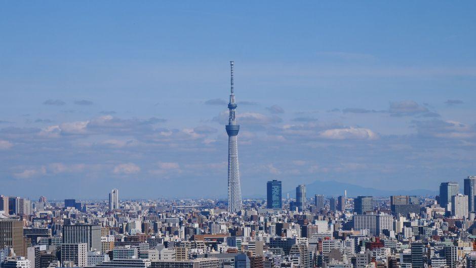 日本北海道本州15日游 第 7 天