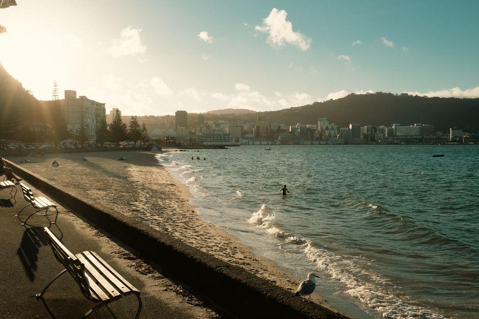 去内皮尔前,这份行前单子过一遍