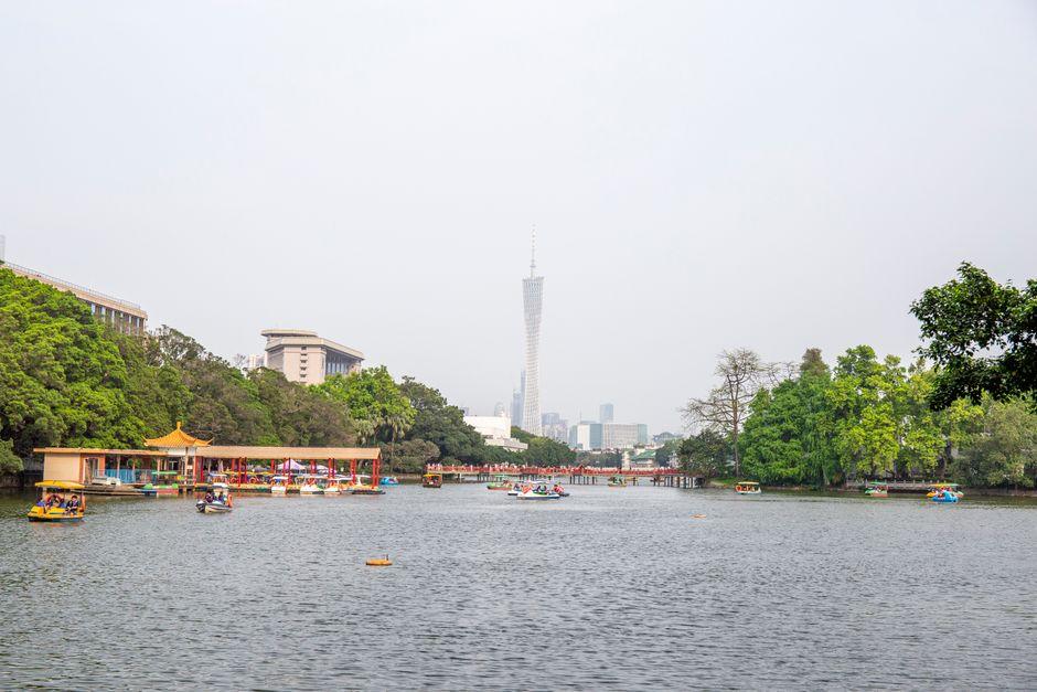 广州17日 第 12 天