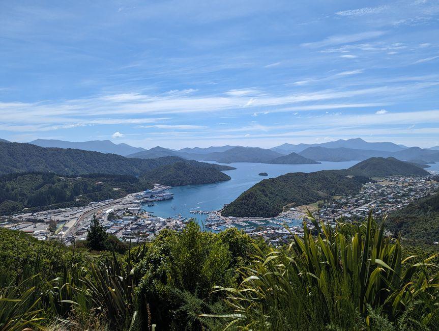 马尔堡旅游:葡萄酒、峡湾和野生海豹同在一个地区