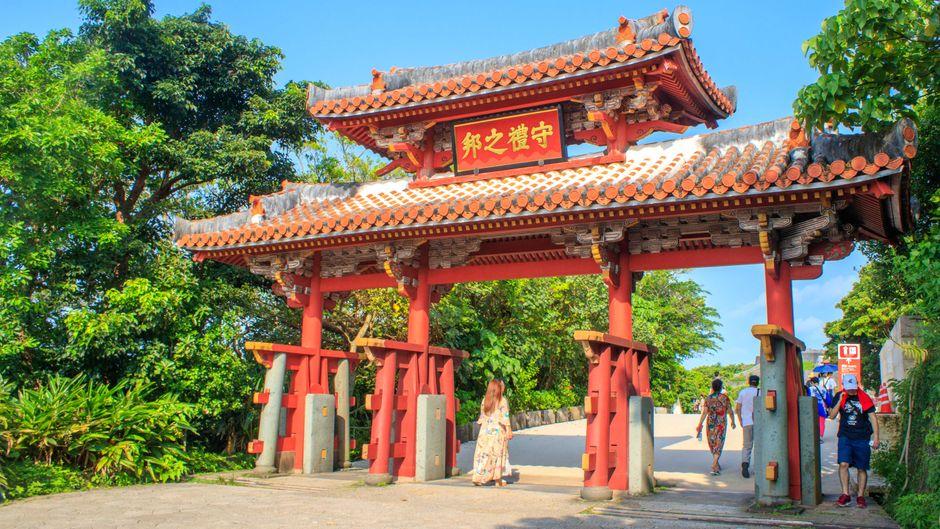 冲绳各月气候,樱花比东京早两个月、台风季不一定要避开